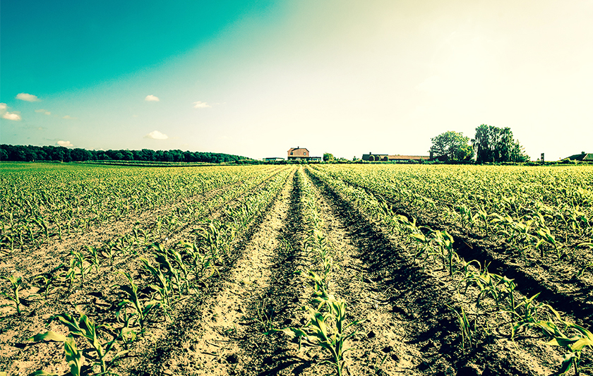 「跌時播種，漲時收割」的智慧